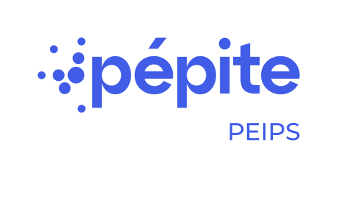 Pépite IDF